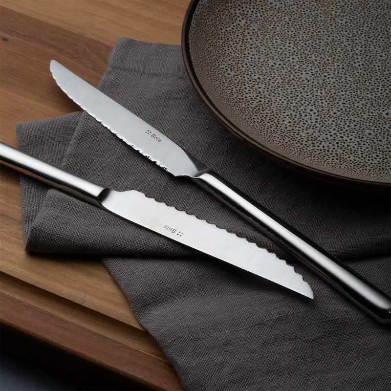 Steak Knives in Silver Magnetic Box 6 pcs - Como