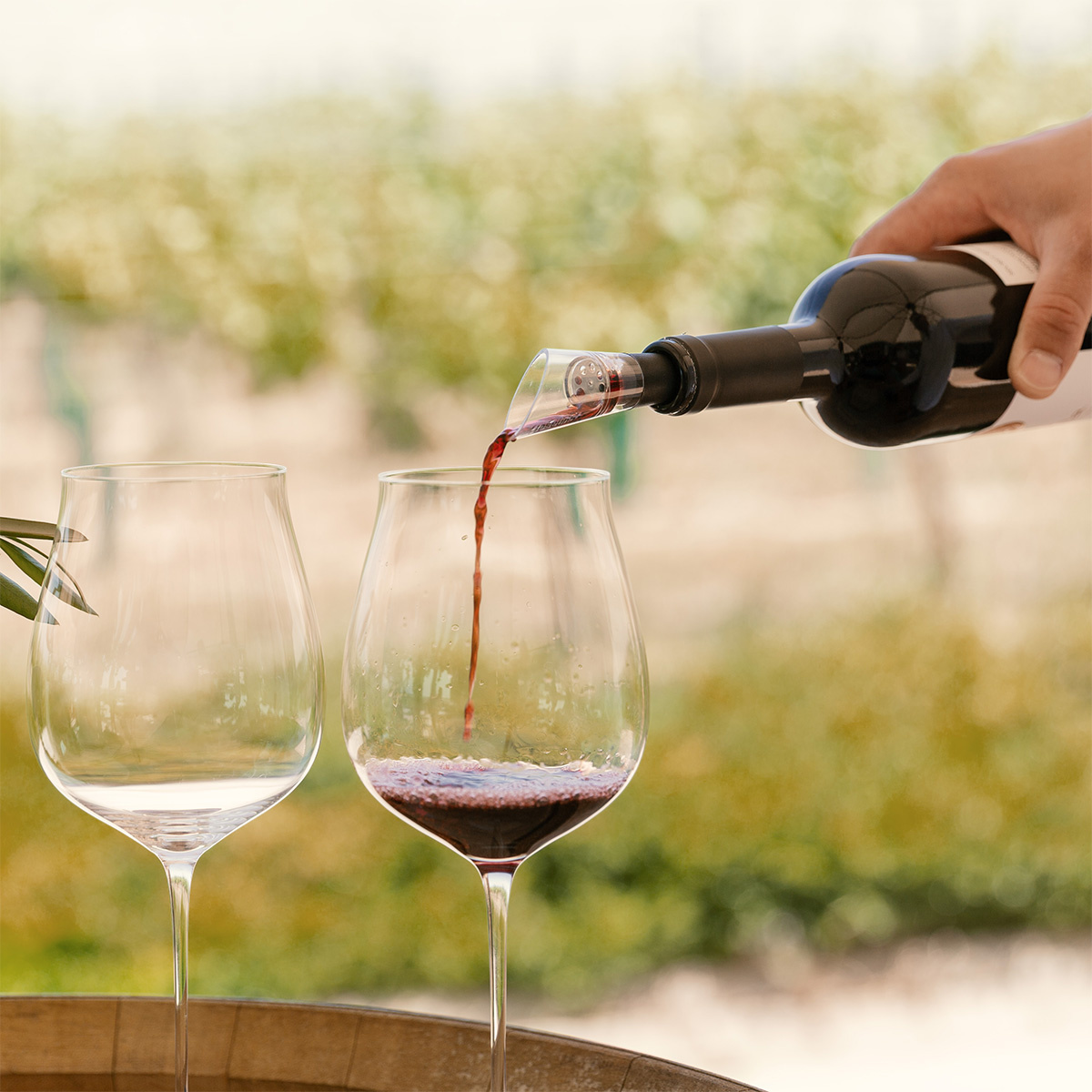 Wine decanting pourer | Lunasol