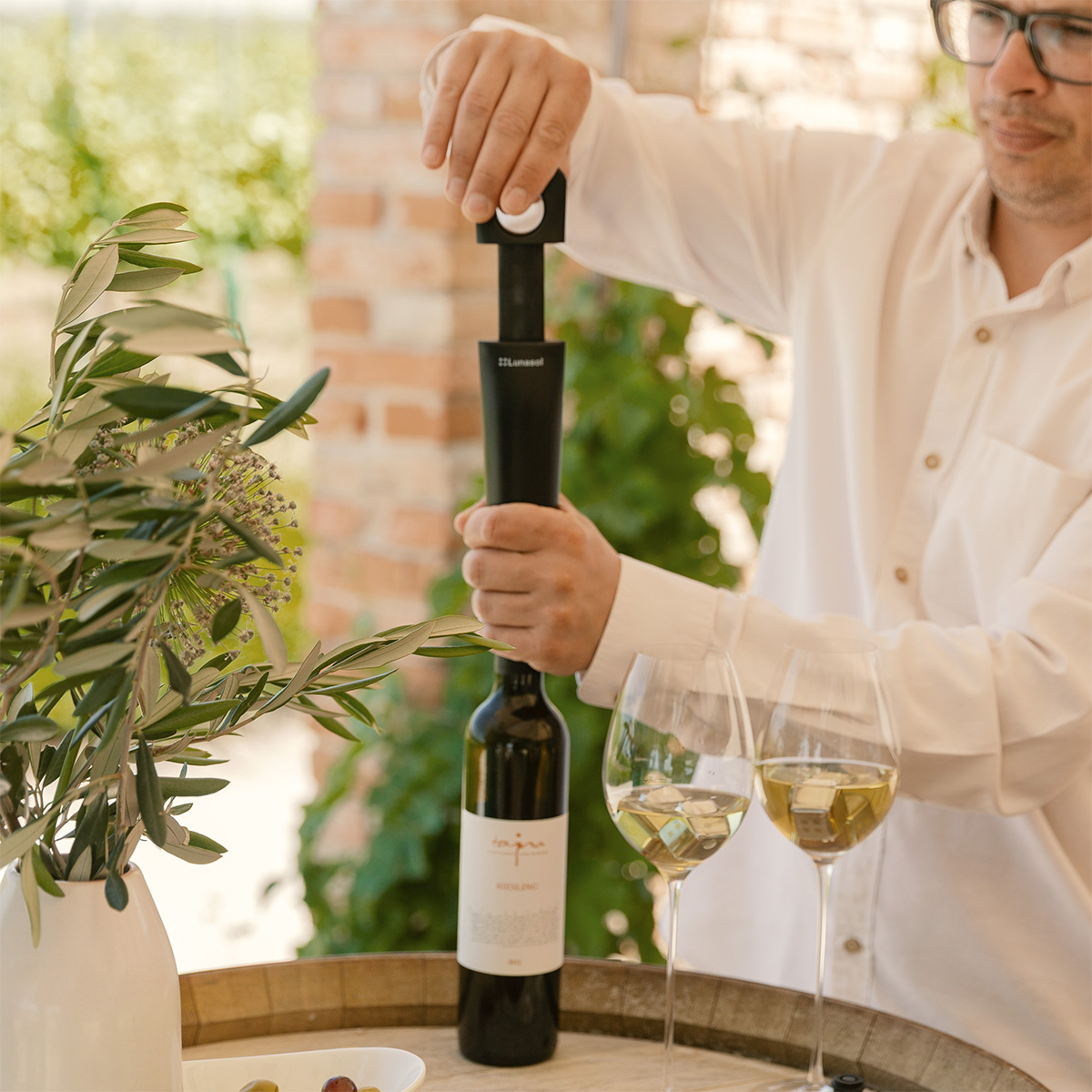 Wine vacuum pump with 2 stoppers | Lunasol