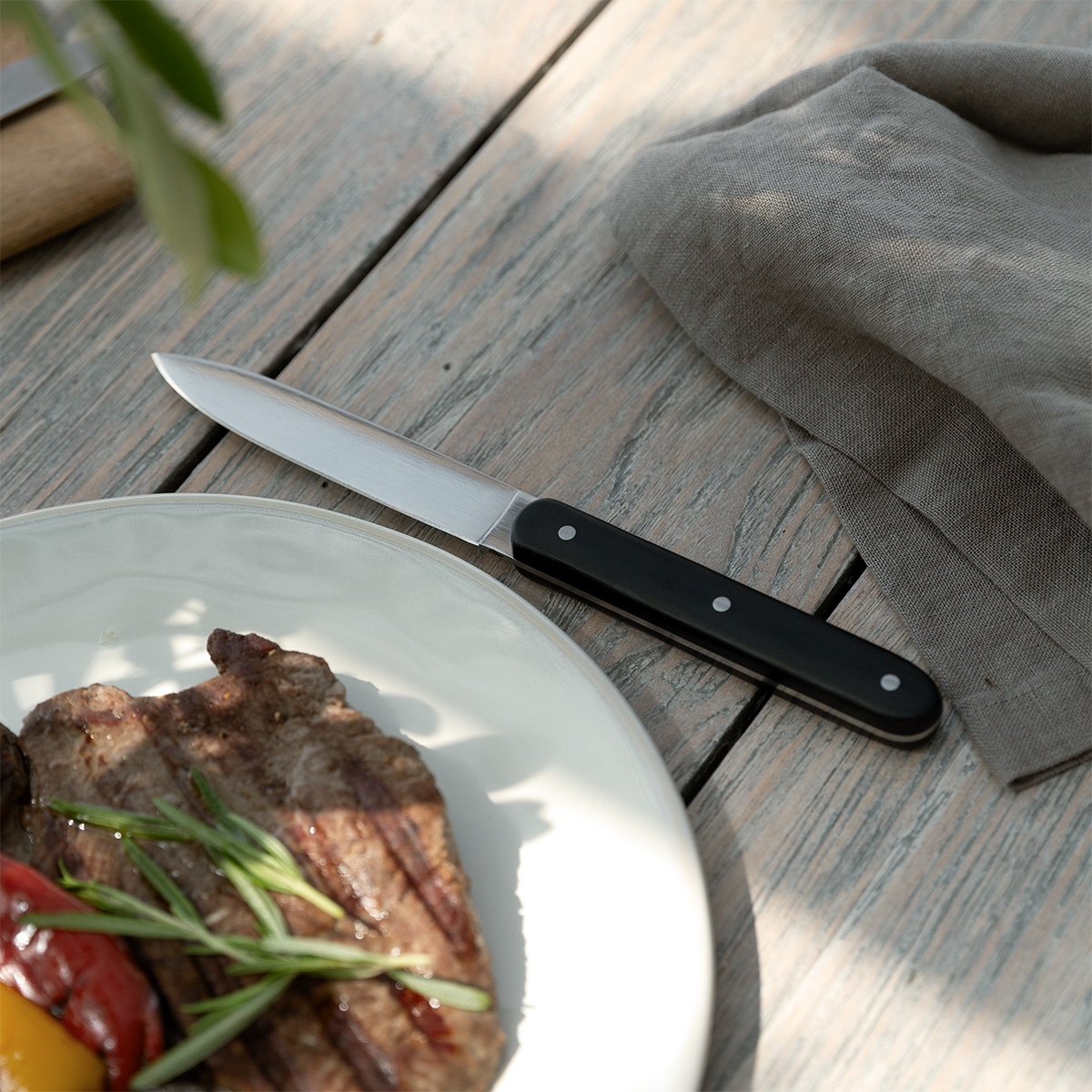 Steak knife black | Bagotta