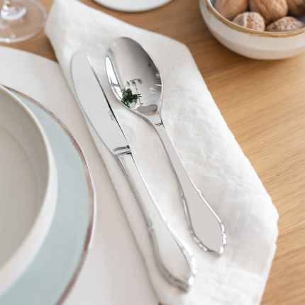 Set di posate argentate 24 pezzi | 7th Generation Duke