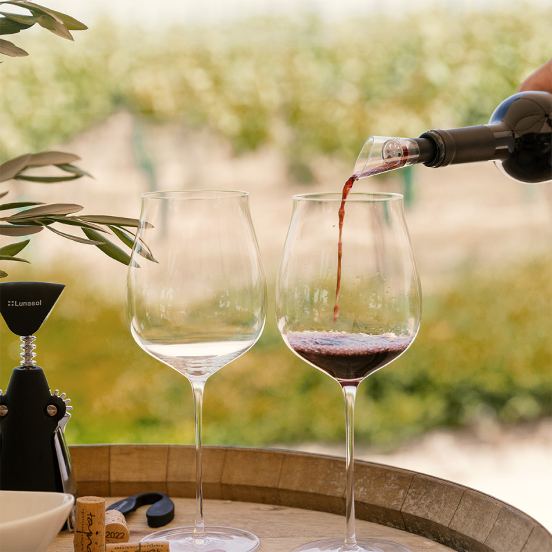 Calici per Cabernet / Alibernet 650 ml set 2 pz - FLOW Glas Platinum Line