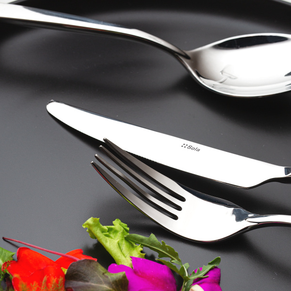 Set di posate 24 pezzi – Eve Elite