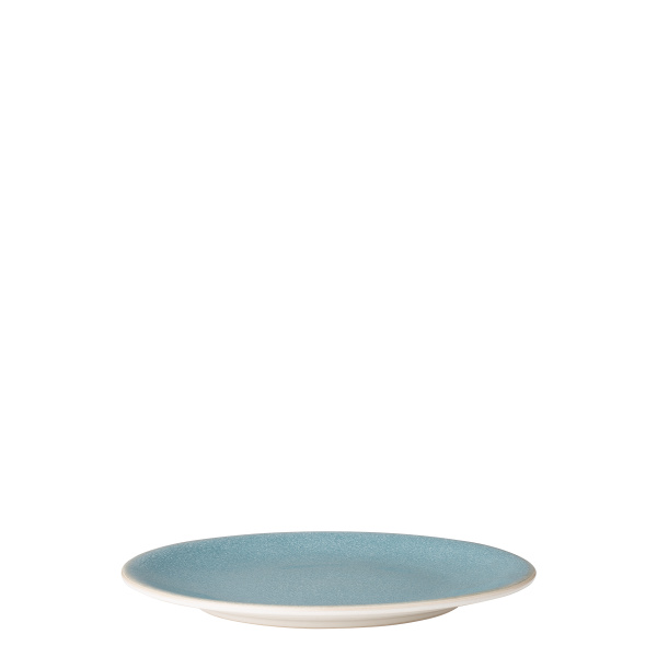 Dinner plate Coupe 22 cm - Gaya Elements Glacial Ice North