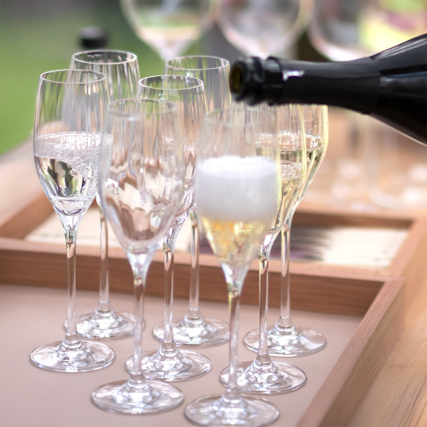 Calici da champagne 170 ml 6 pz — Optima Line Glas Lunasol