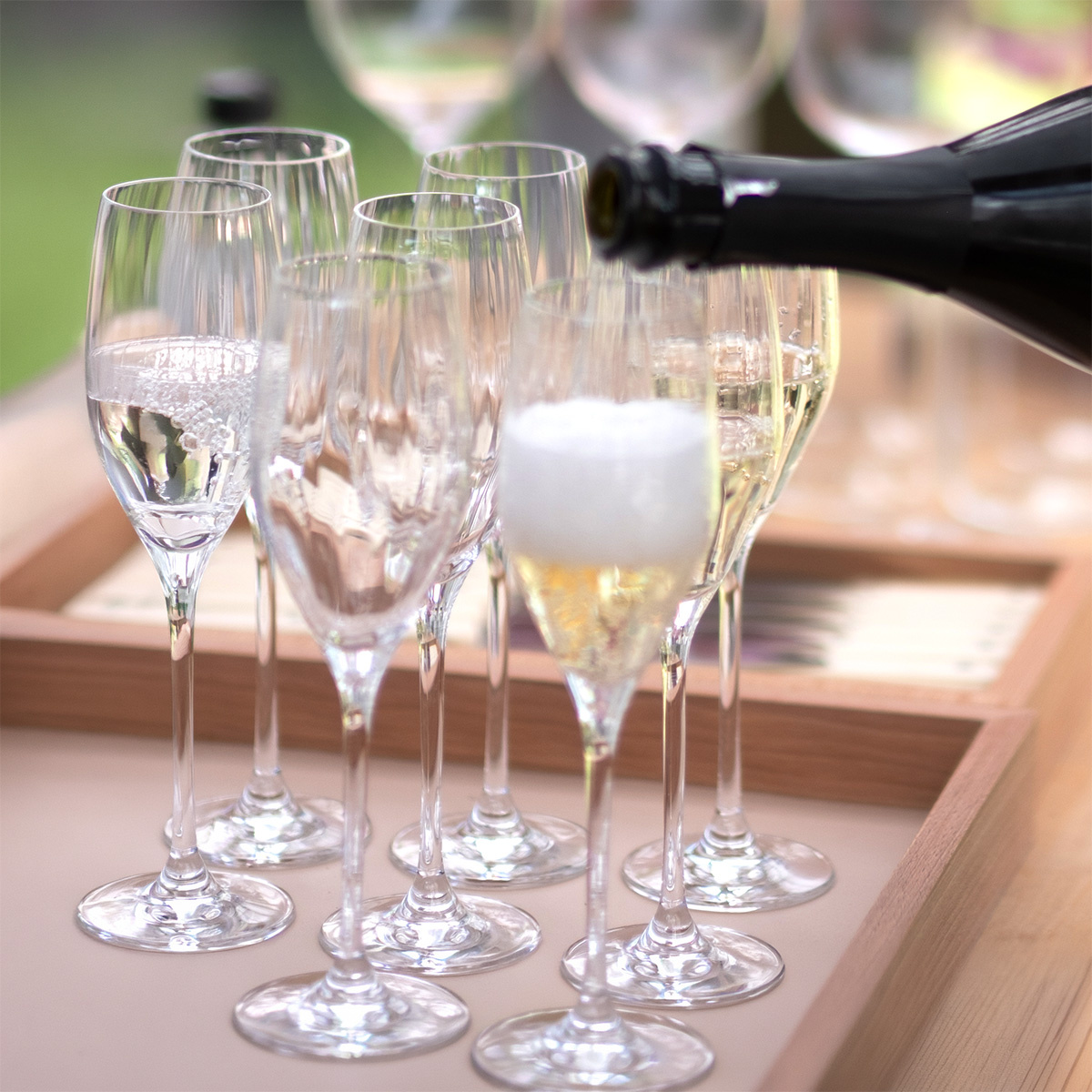 Calici da champagne 170 ml 6 pz — Optima Line Glas Lunasol