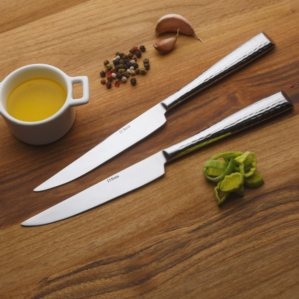 Steak Knives in Magnetic Box 6-pc Set – Miracle