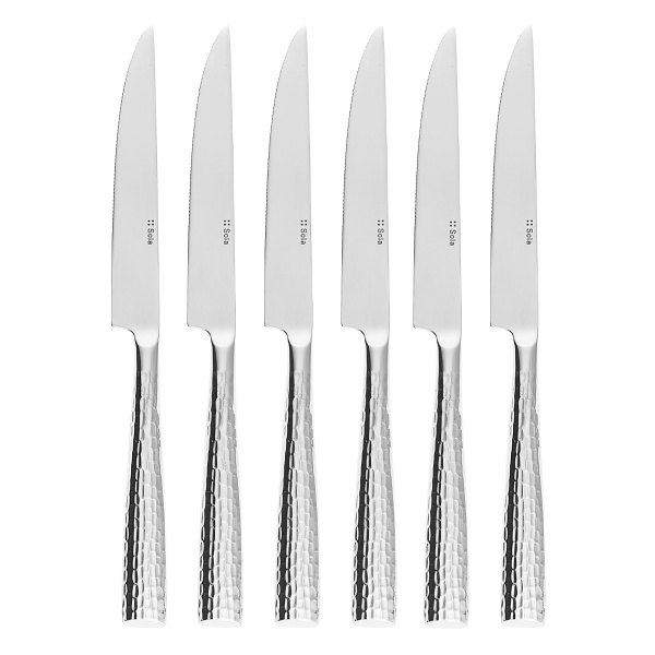 Steak Knives in Magnetic Box 6-pc Set – Miracle