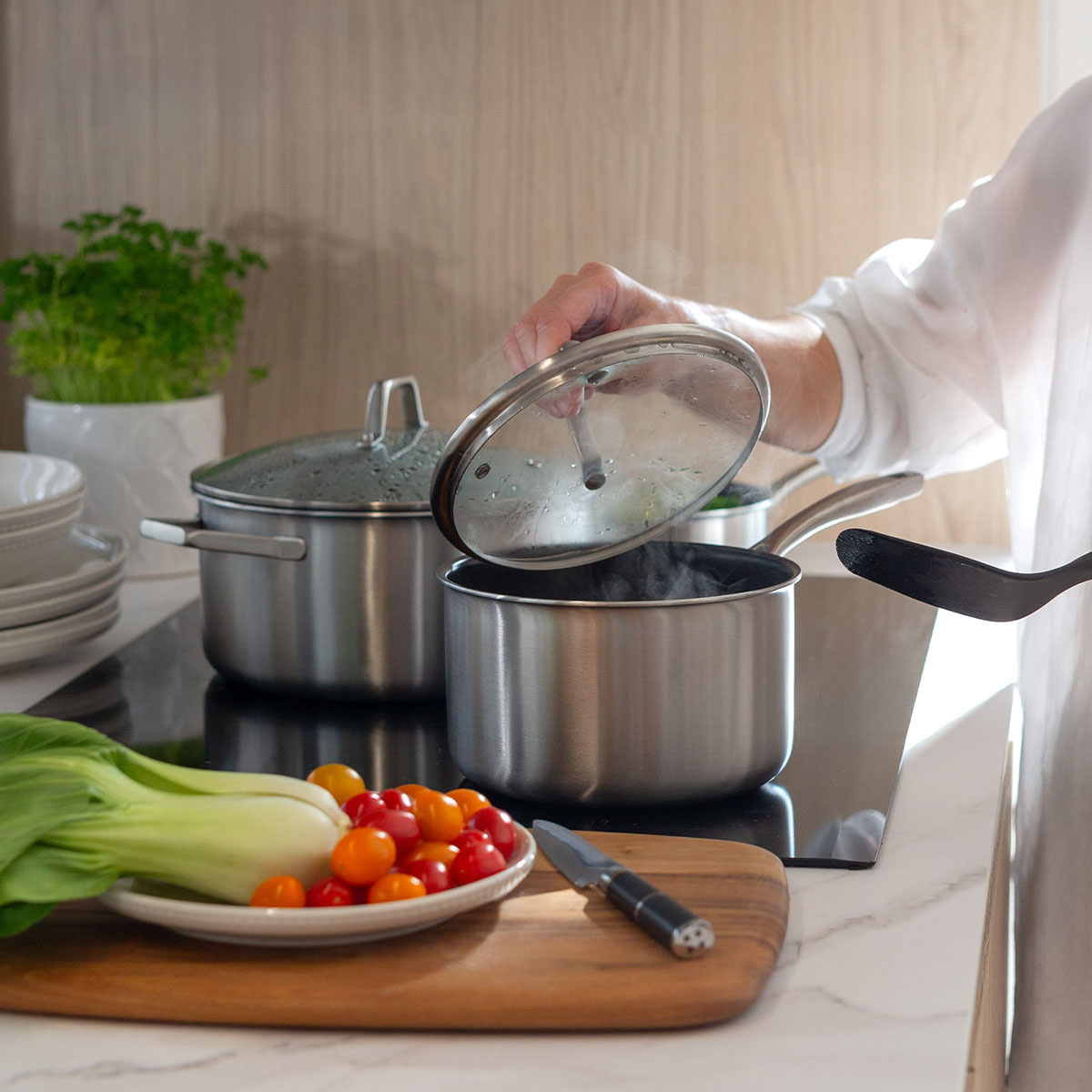 Starter set of pots and pans 10 pcs | Sirius Terra