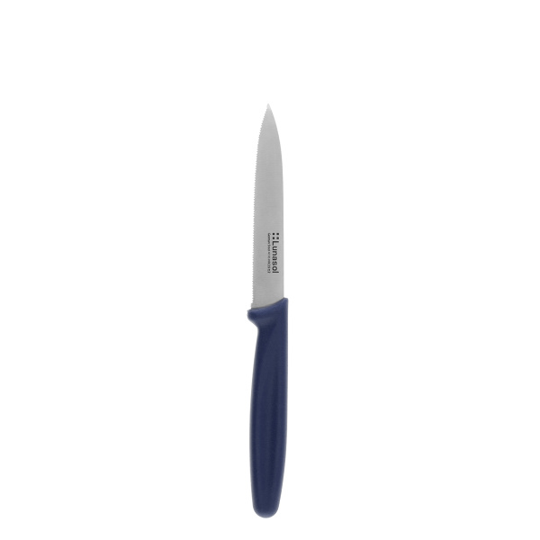 Kitchen knife 10.2 cm serrated | Master Blue