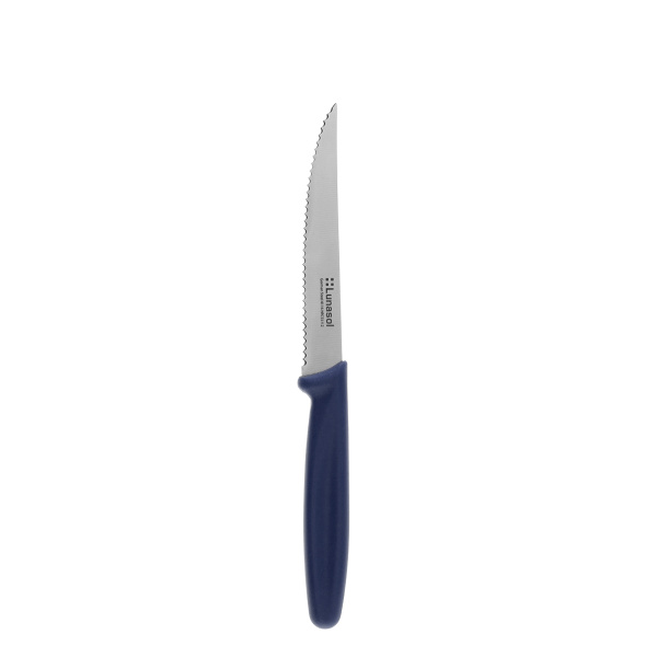 Steak knife 11,2 cm | Master Blue