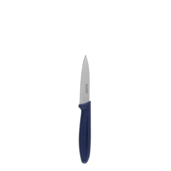 Kitchen knife 7.8 cm serrated | Master Blue