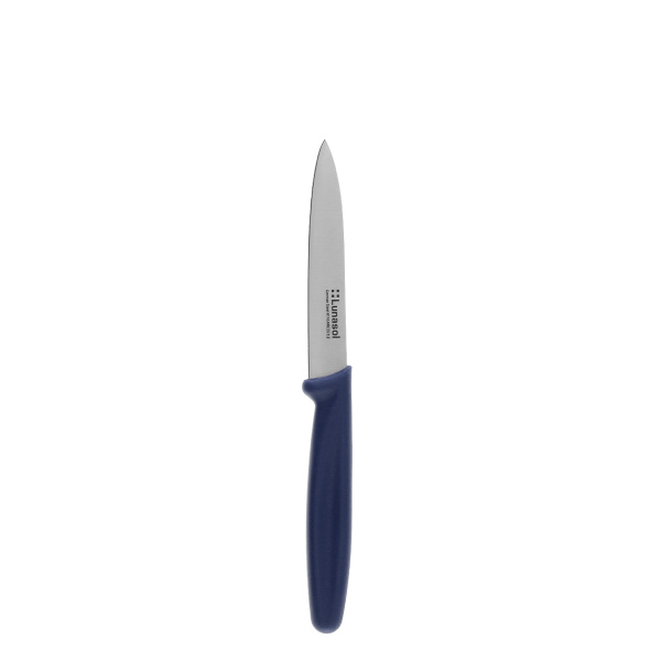 Kitchen knife 10.2 cm without serration | Master Blue