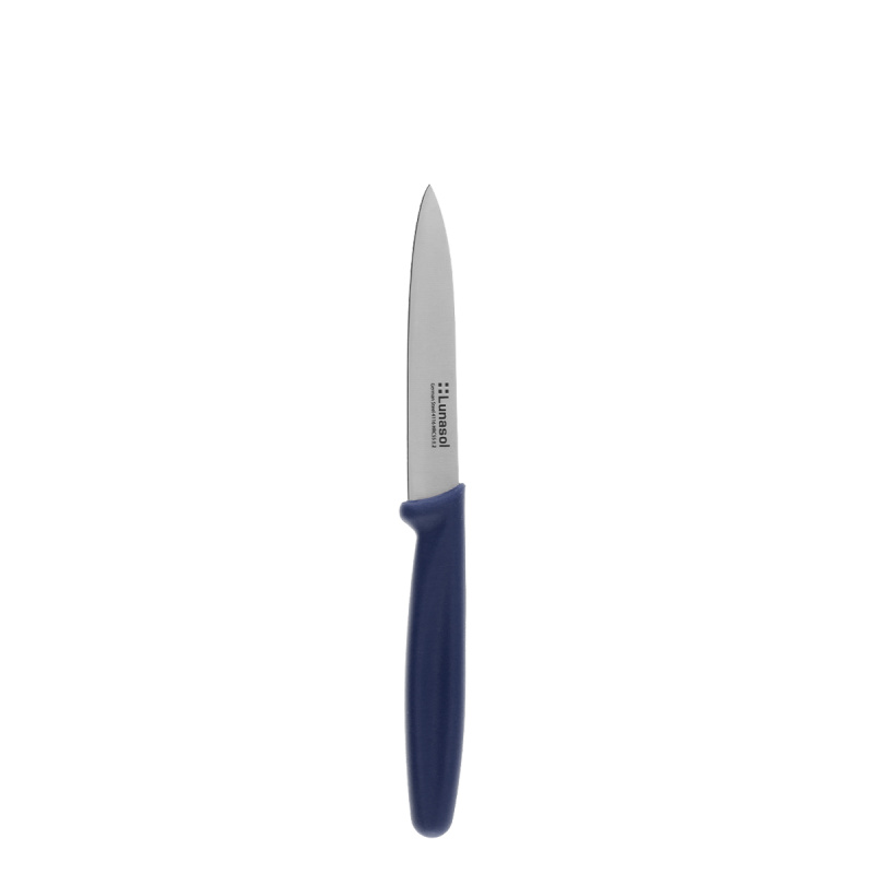 Kitchen knife 10.2 cm without serration | Master Blue