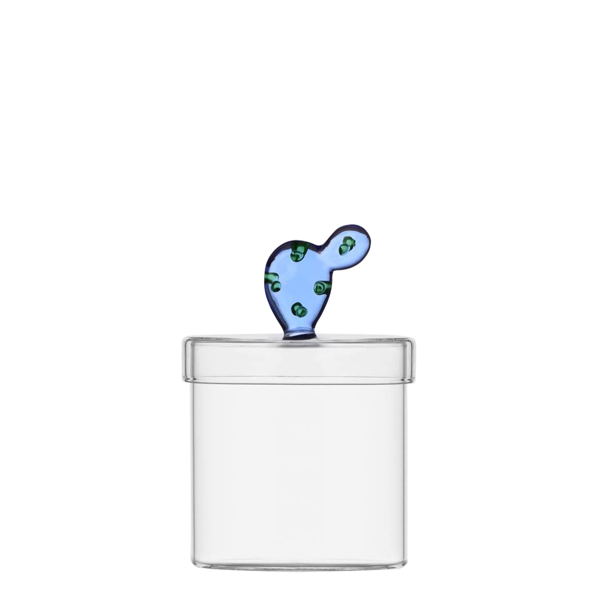 Glass jar with lid and blue cactus — Ichendorf