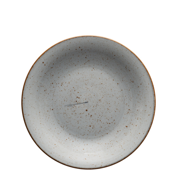 Piatto piano 25 cm grigio - Hotel Inn Chic colorato