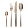 Set di posate 24 pezzi – Salamanca PVD Champagne completamente opaco