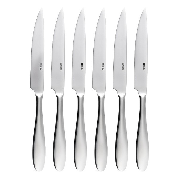 Steak knives in a magnetic box set of 6 – Turin