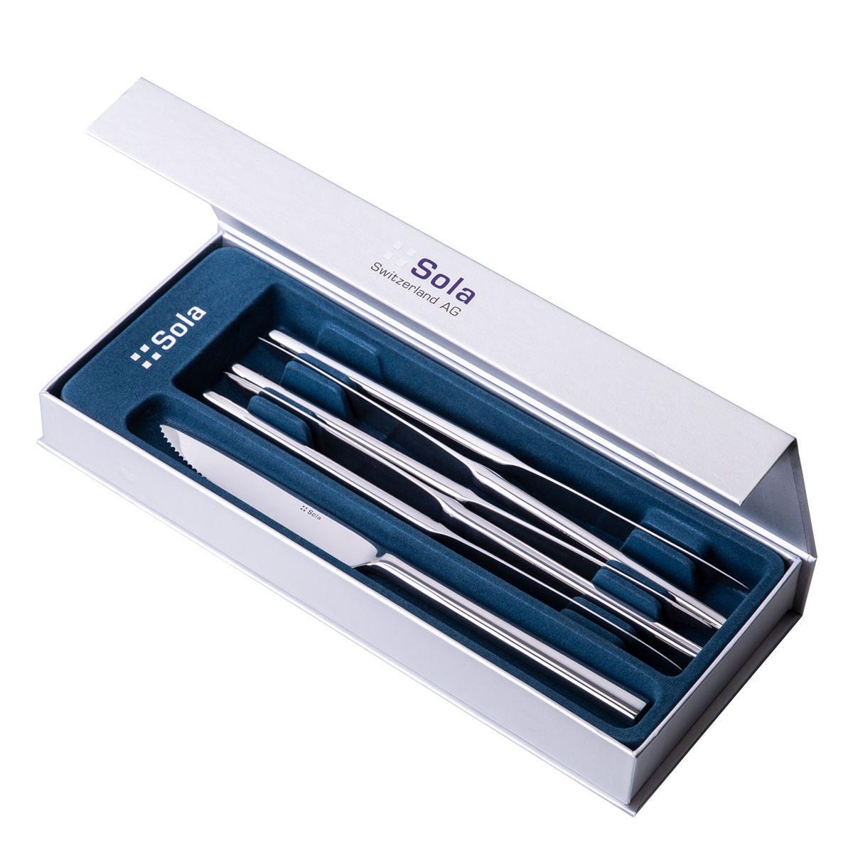 Coltelli da bistecca in scatola magnetica 6 pezzi – Living