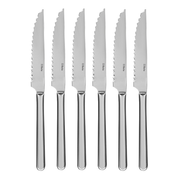 Coltelli da bistecca in scatola magnetica argento 6 pezzi - Como