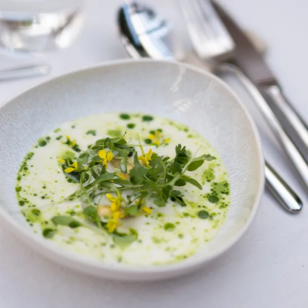 Soupe crémeuse printanière agrémentée d'herbes aromatiques et de fleurs comestibles, servie dans une assiette creuse Elements North organic